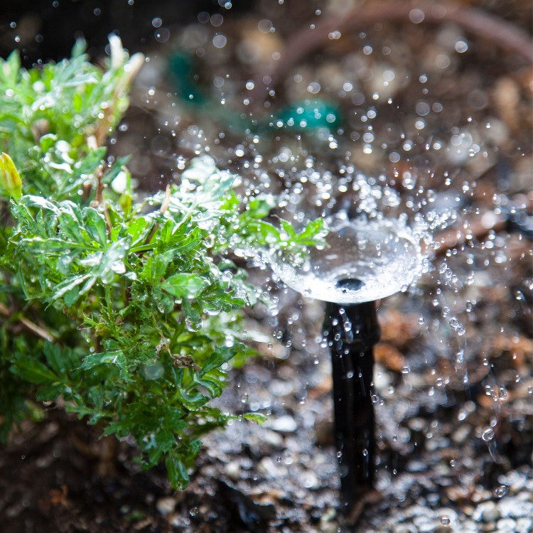 Landscaping and Pool Services in Brevard County, FL Landscaping and Pool Services in Brevard County, FL