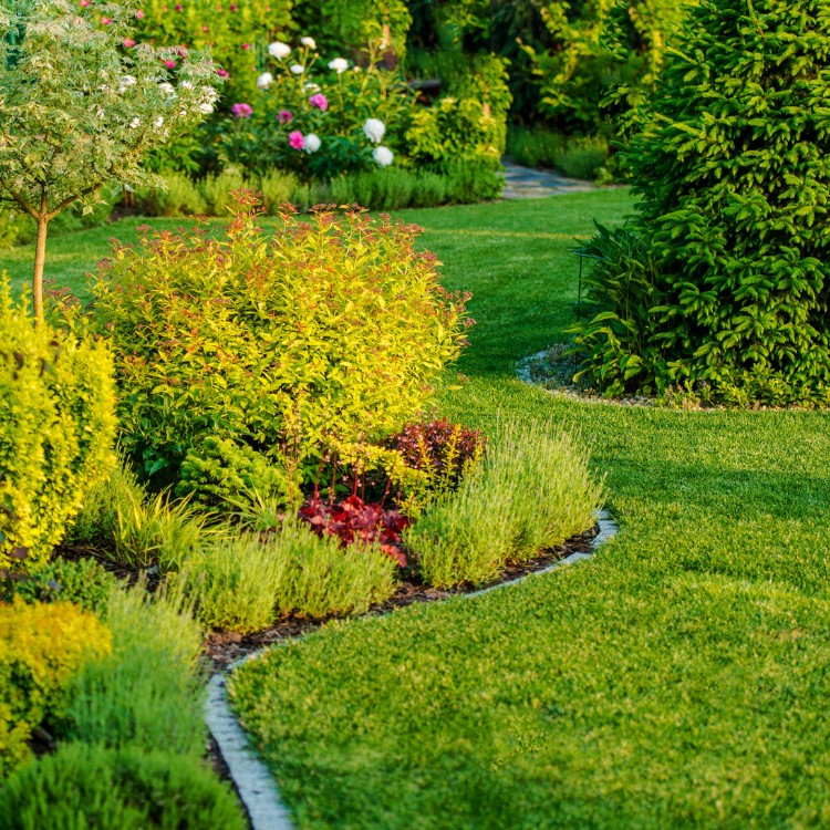 Landscaping and Pool Services in Brevard County, FL