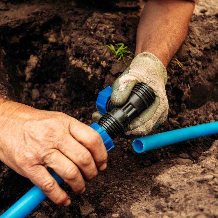 Landscaping and Pool Services in Brevard County, FL Landscaping and Pool Services in Brevard County, FL