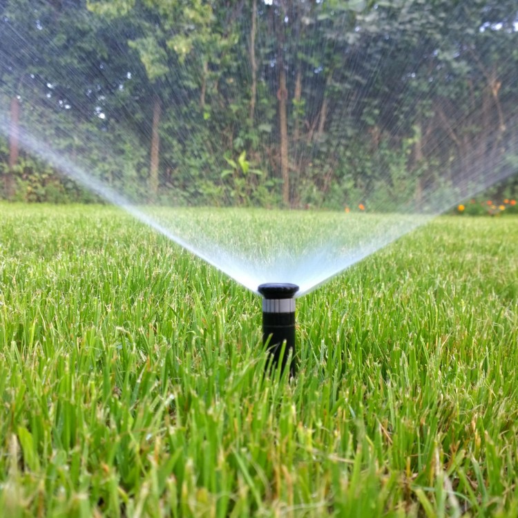Landscaping and Pool Services in Brevard County, FL Landscaping and Pool Services in Brevard County, FL