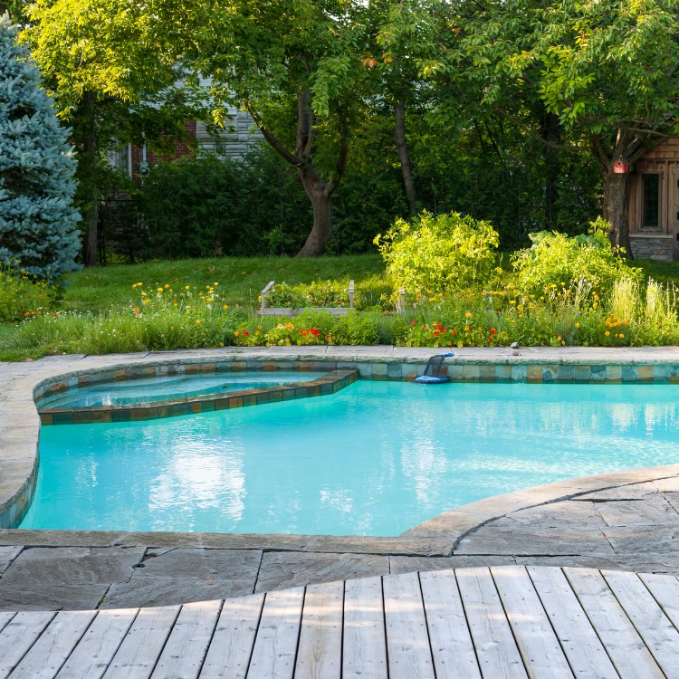 Landscaping and Pool Services in Brevard County, FL